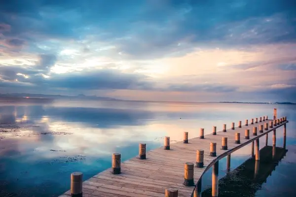 手机公司介绍芯片产品