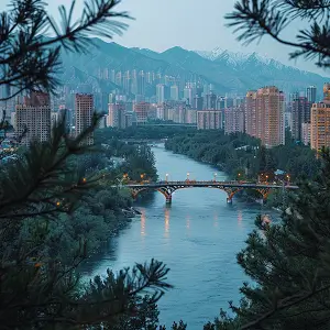 代言公司及产品介绍